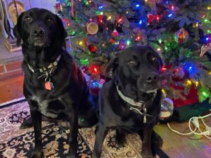 Emma and Katie Christmas